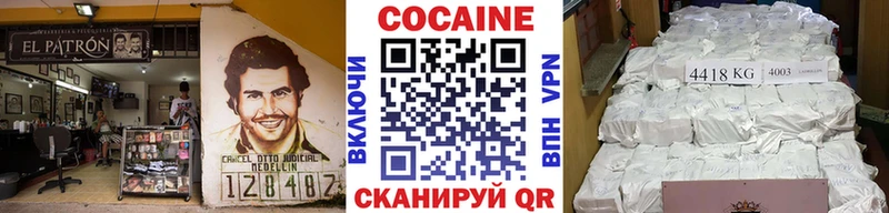 МЕГА ссылка  Заозёрск  КОКАИН FishScale 