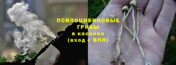 соль курить ск Горно-Алтайск