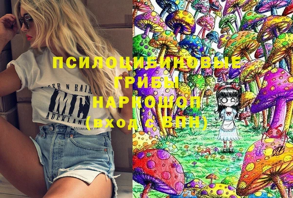 соль курить ск Горно-Алтайск