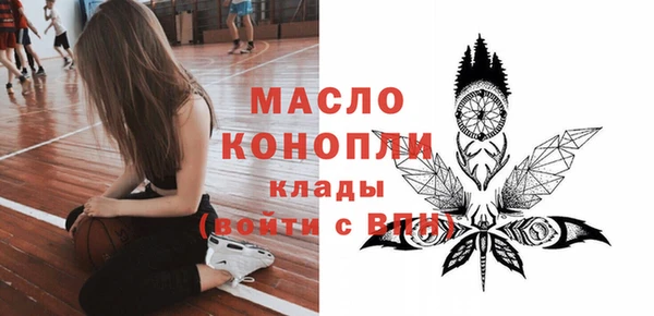 скорость Вяземский